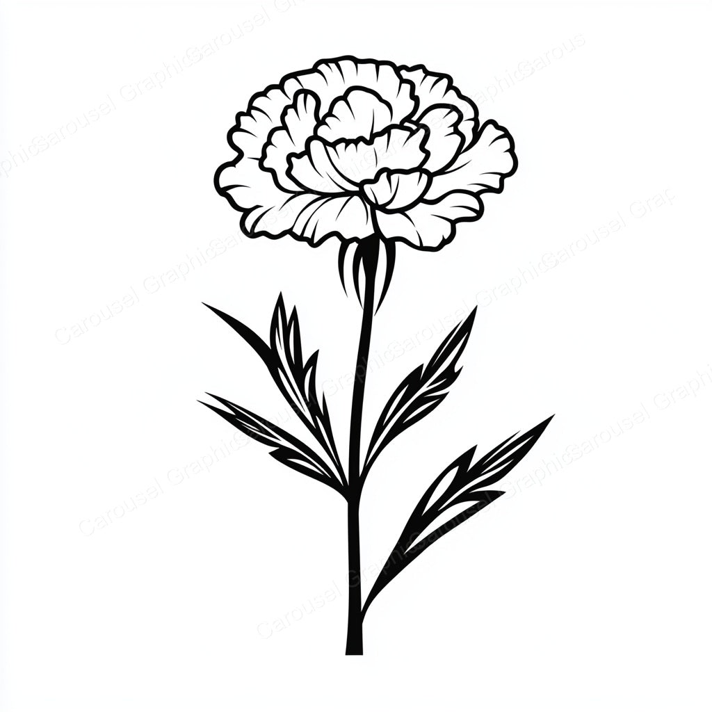 Carnation Vector Graphic preview