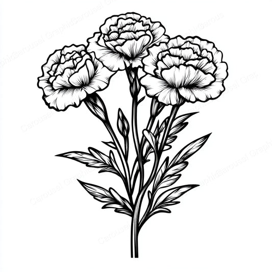 Carnation Vector Graphic preview