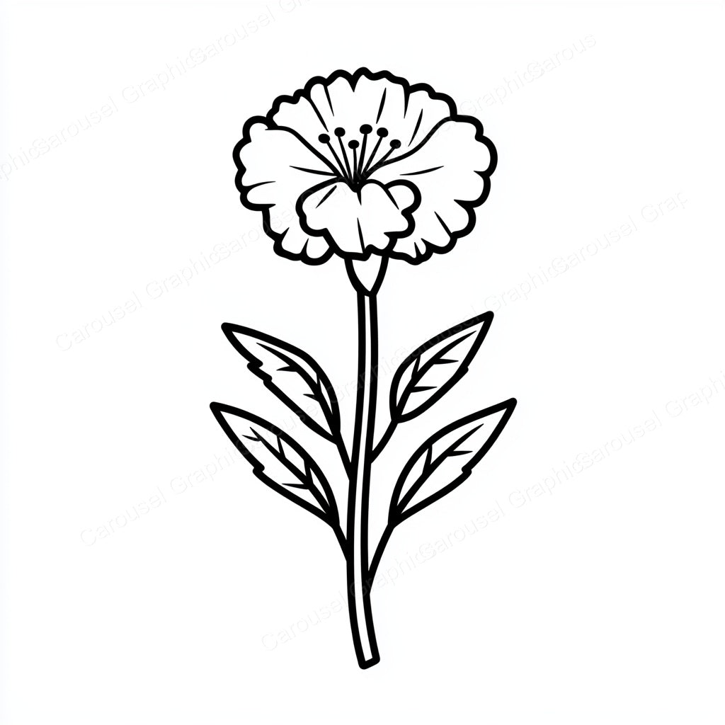 Carnation Vector Graphic preview