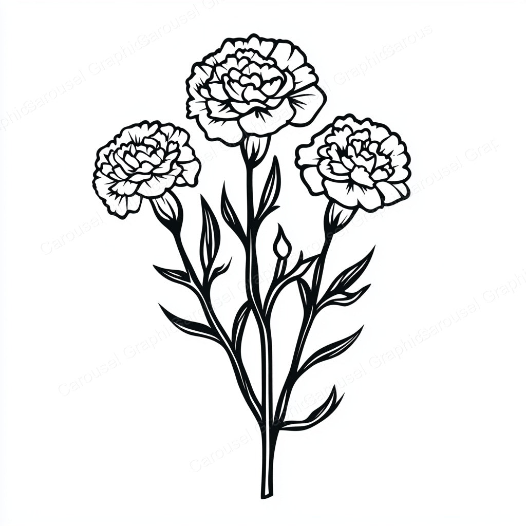 Carnation Vector Graphic preview