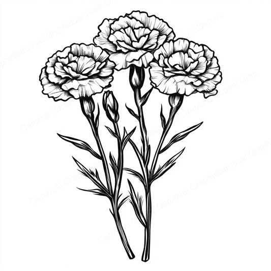 Carnation Vector Graphic preview