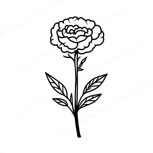 Carnation Vector Graphic preview