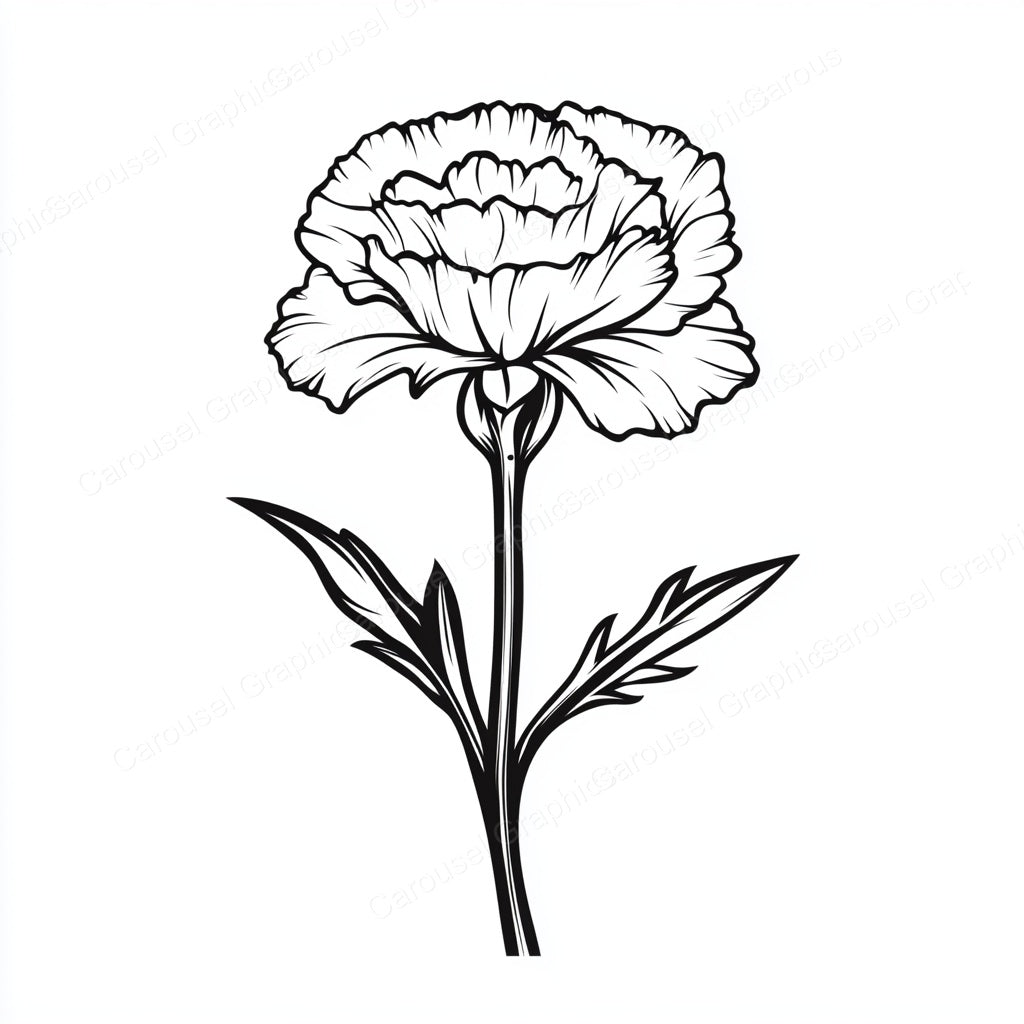 Carnation Vector Graphic preview