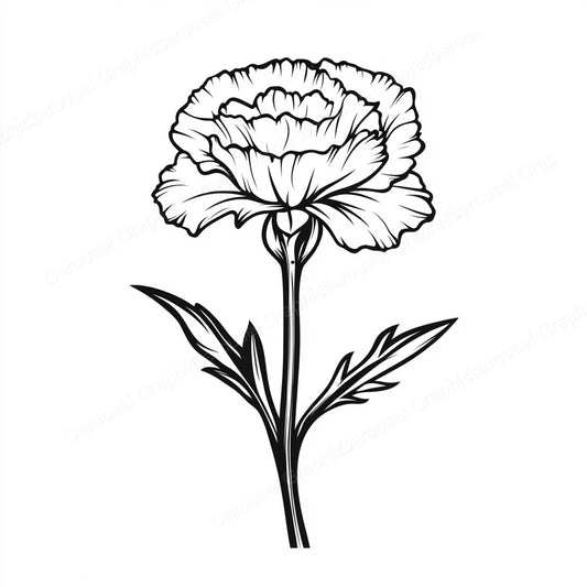 Carnation Vector Graphic preview