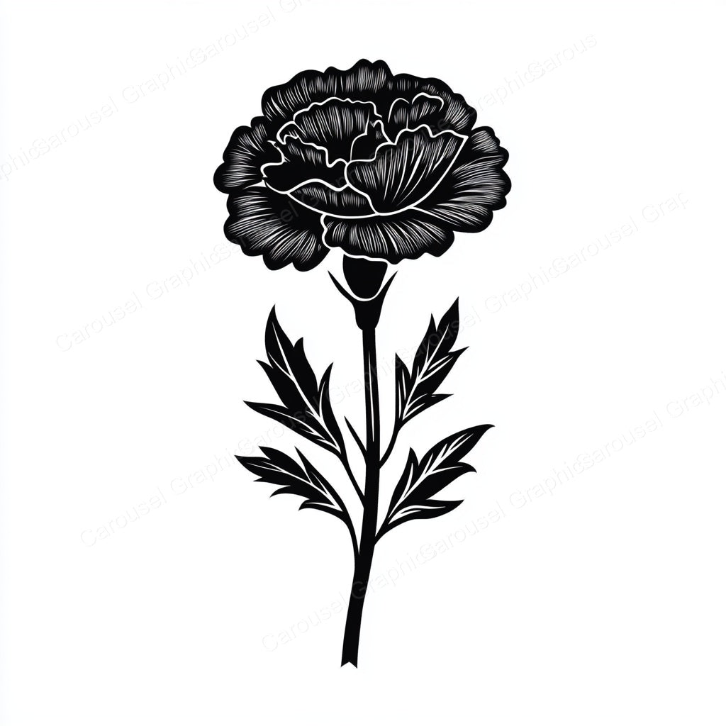 Carnation Vector Graphic preview