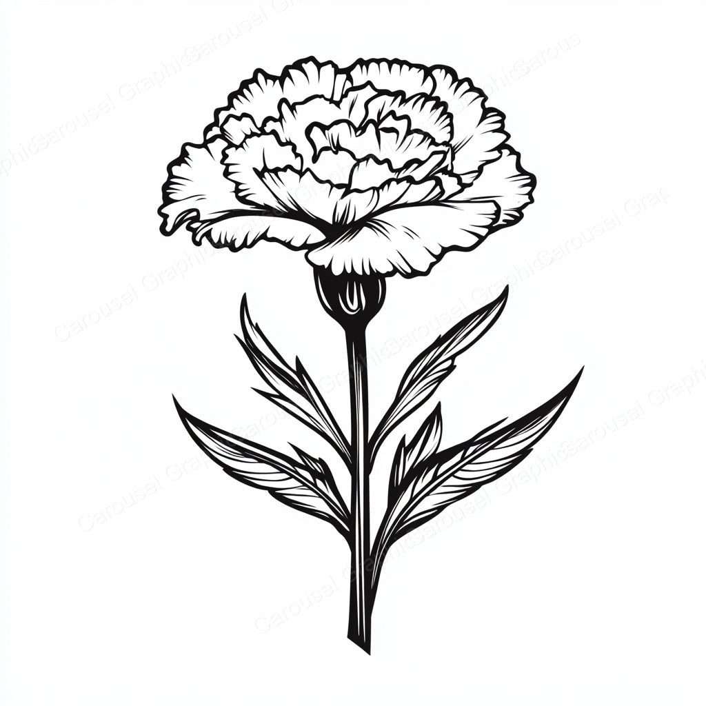 Carnation Vector Graphic preview