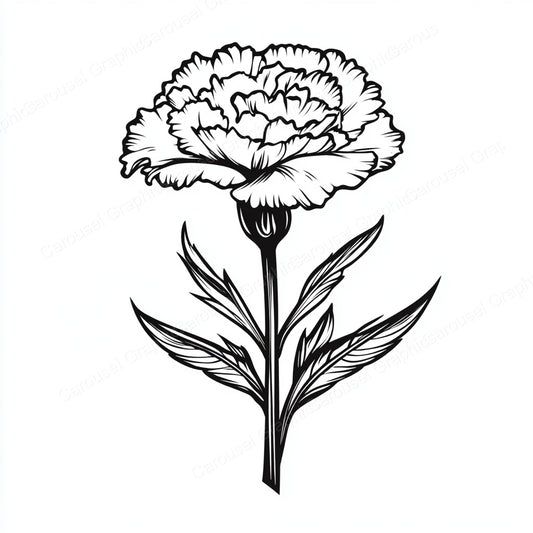 Carnation Vector Graphic preview