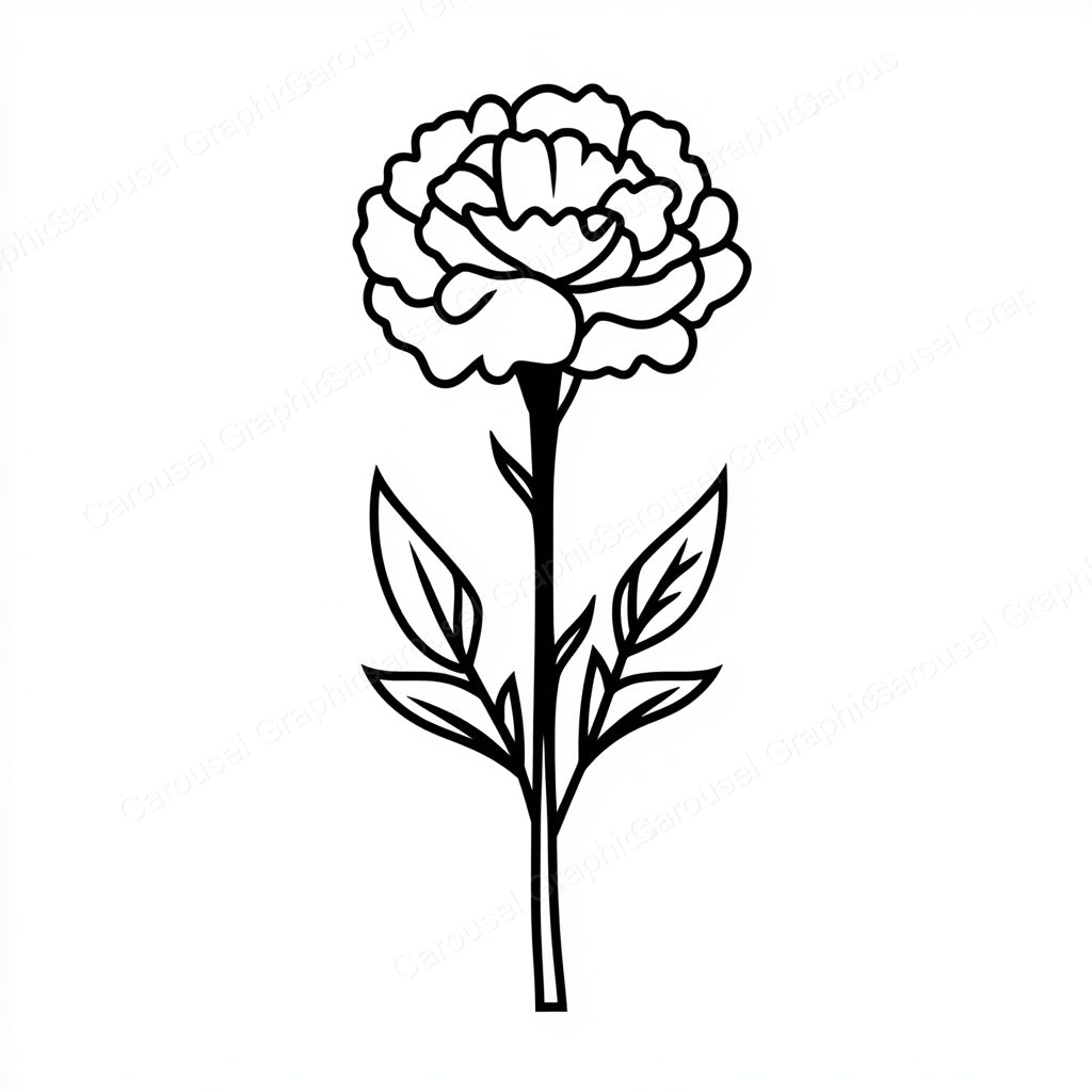 Carnation Vector Graphic preview
