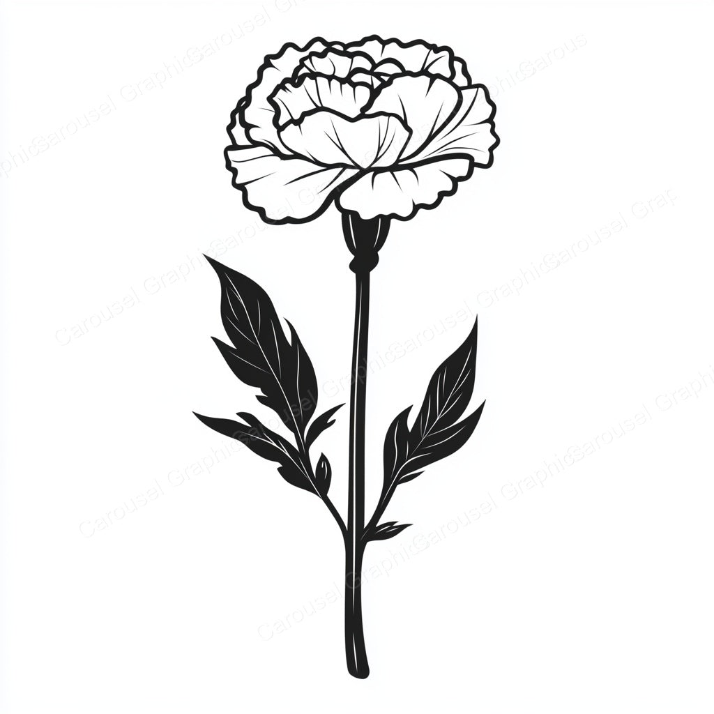 Carnation Vector Graphic preview