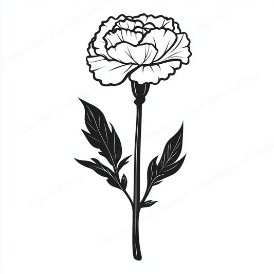 Carnation Vector Graphic preview