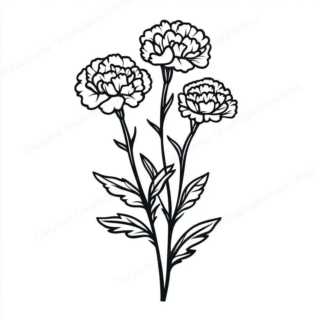 Carnation Vector Graphic preview