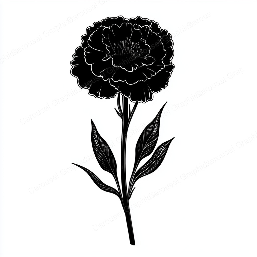 Carnation Vector Graphic preview
