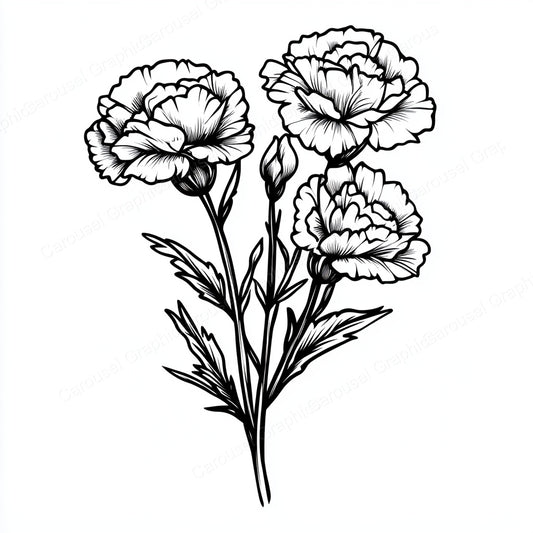 Carnation Vector Graphic preview
