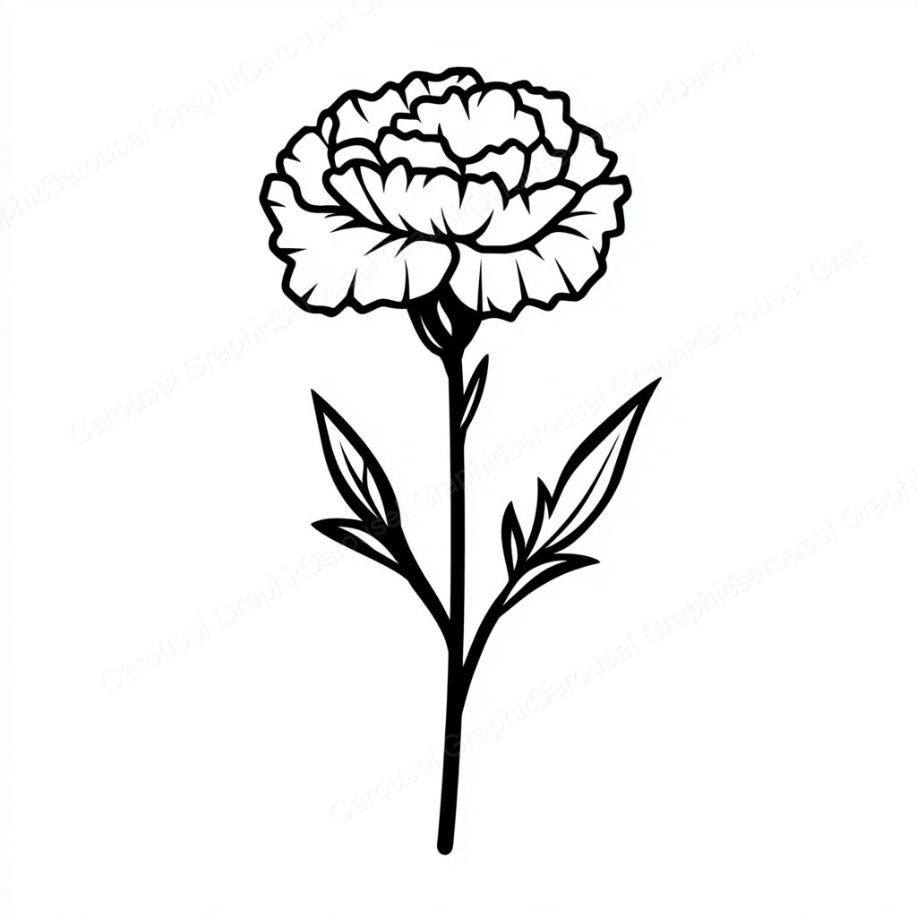 Carnation Vector Graphic preview
