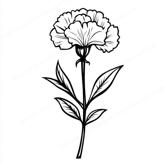 Carnation Vector Graphic preview