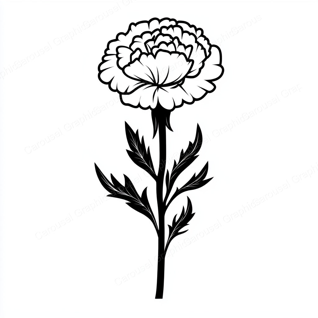 Carnation Vector Graphic preview