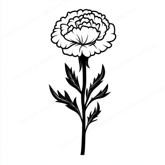 Carnation Vector Graphic preview