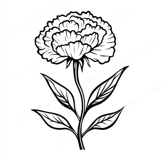 Carnation Vector Graphic preview