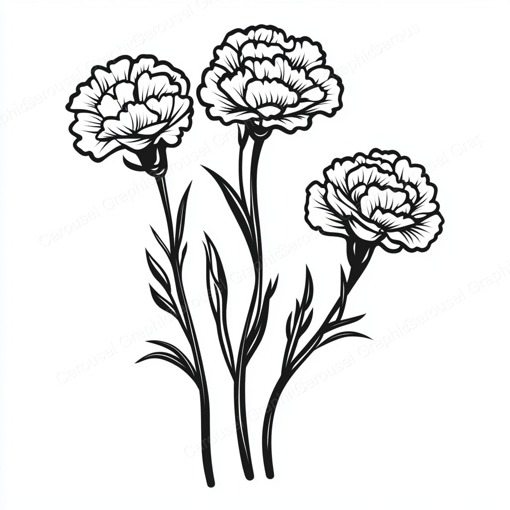 Carnation Vector Graphic preview