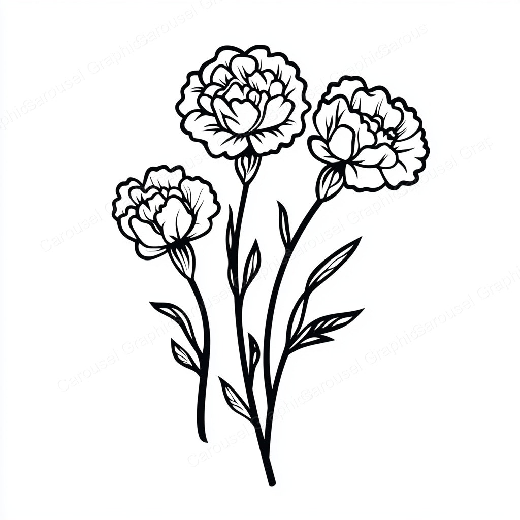Carnation Vector Graphic preview