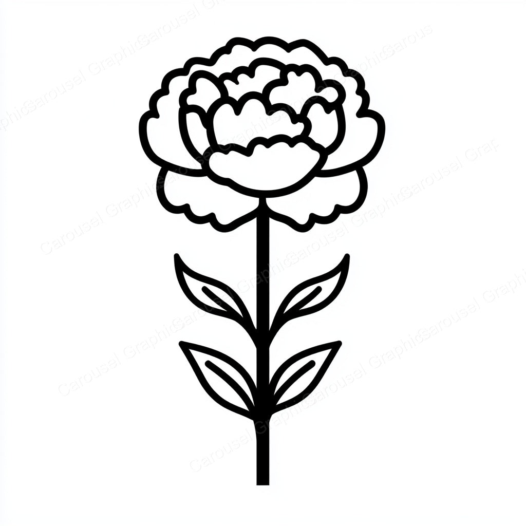 Carnation Vector Graphic preview
