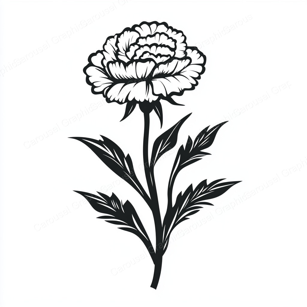 Carnation Vector Graphic preview