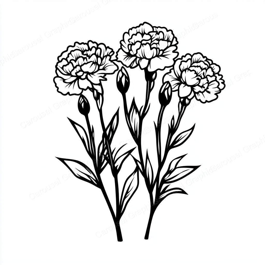 Carnation Vector Graphic preview