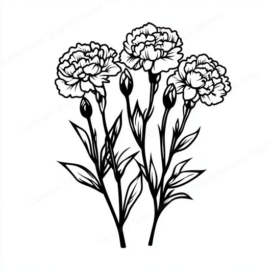 Carnation Vector Graphic preview
