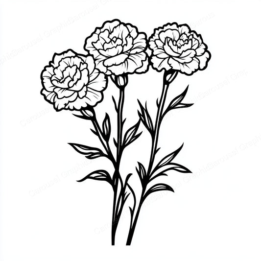 Carnation Vector Graphic preview