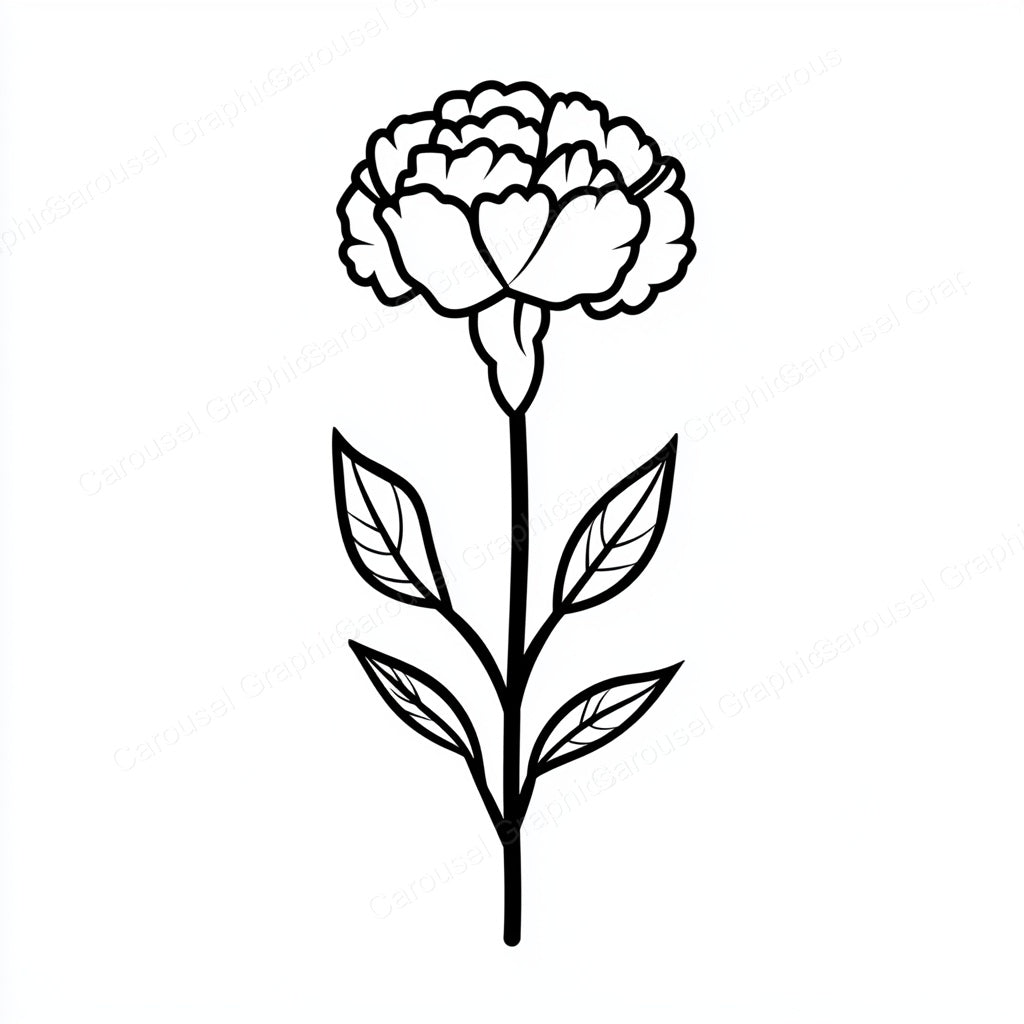 Carnation Vector Graphic preview