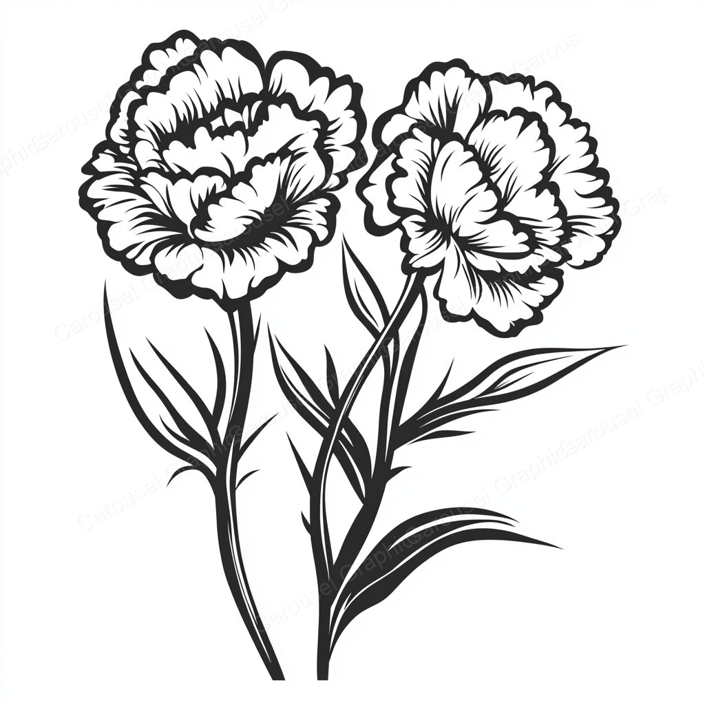 Carnation Vector Graphic preview