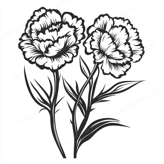 Carnation Vector Graphic preview