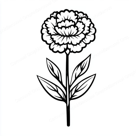 Carnation Vector Graphic preview