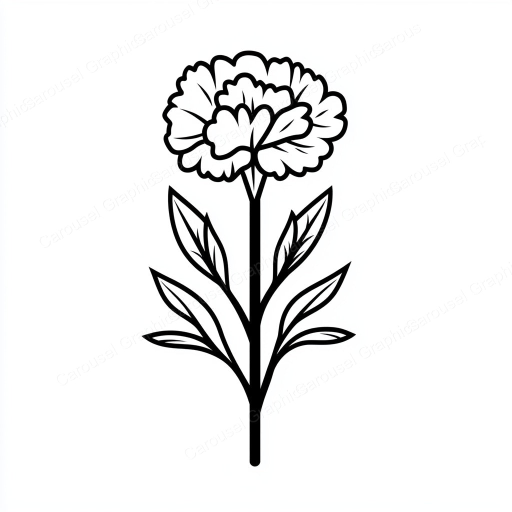 Carnation Vector Graphic preview