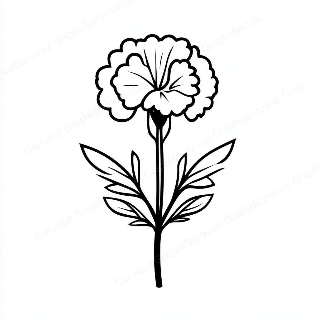 Carnation Vector Graphic preview