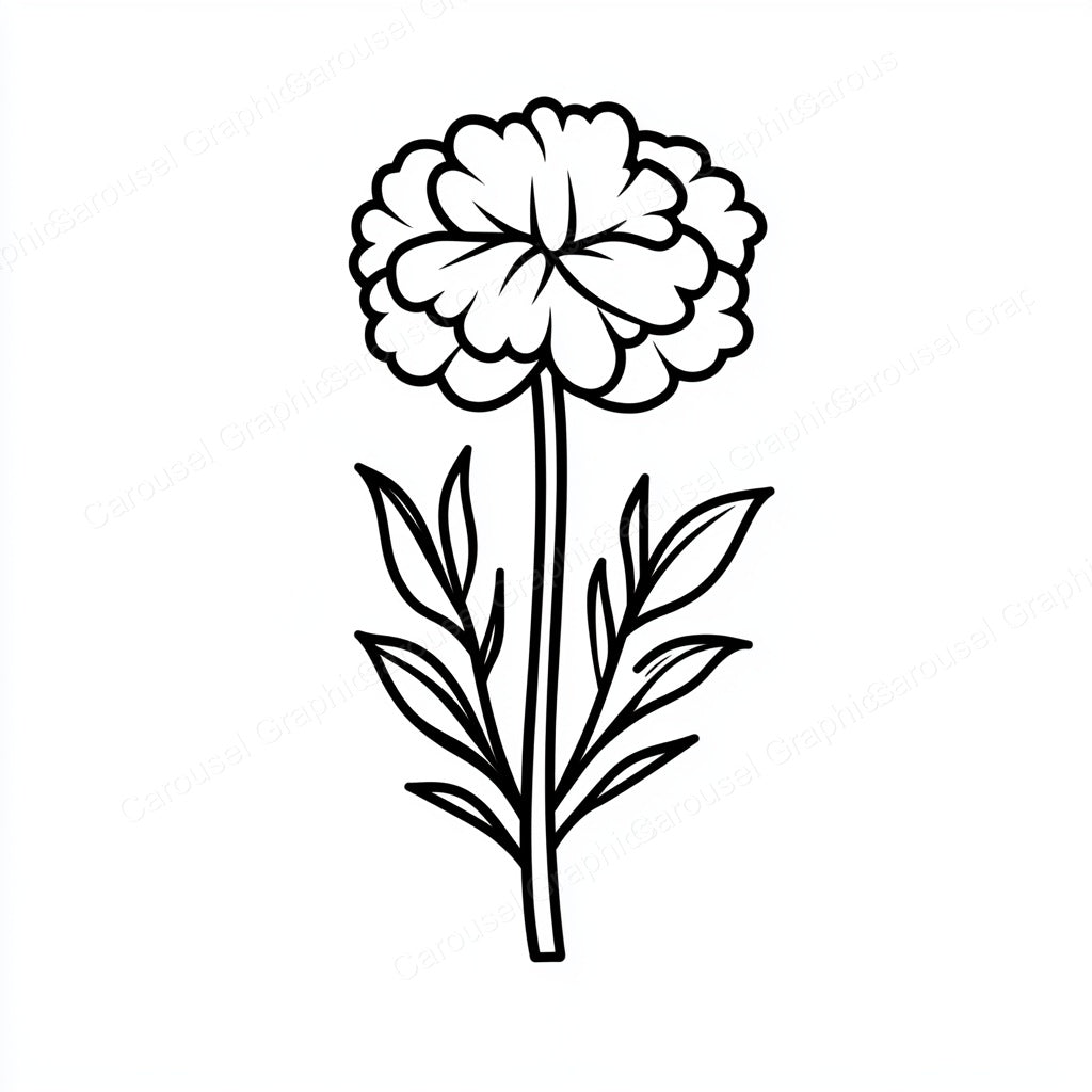 Carnation Vector Graphic preview
