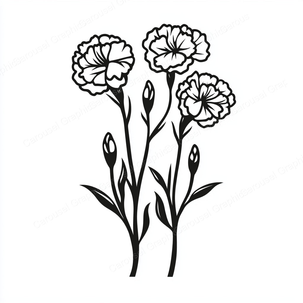 Carnation Vector Graphic preview