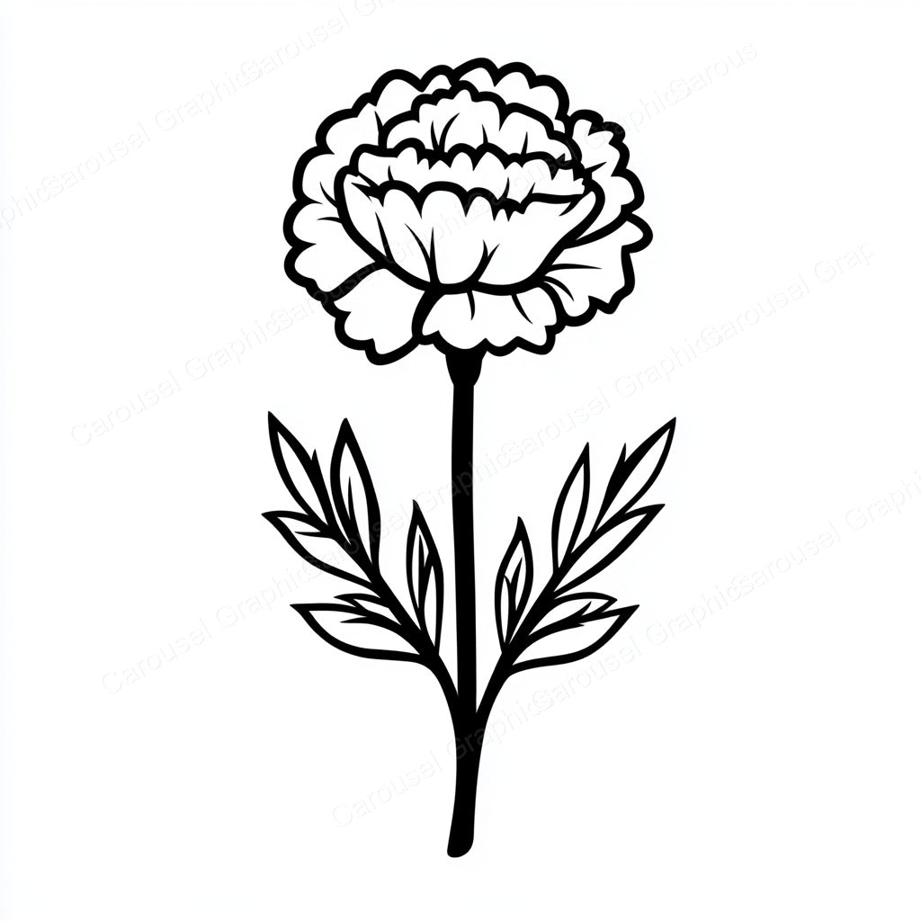 Carnation Vector Graphic preview
