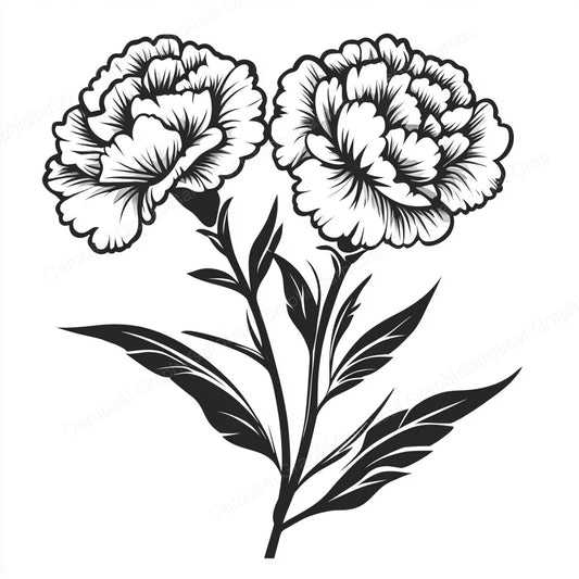 Carnation Vector Graphic preview