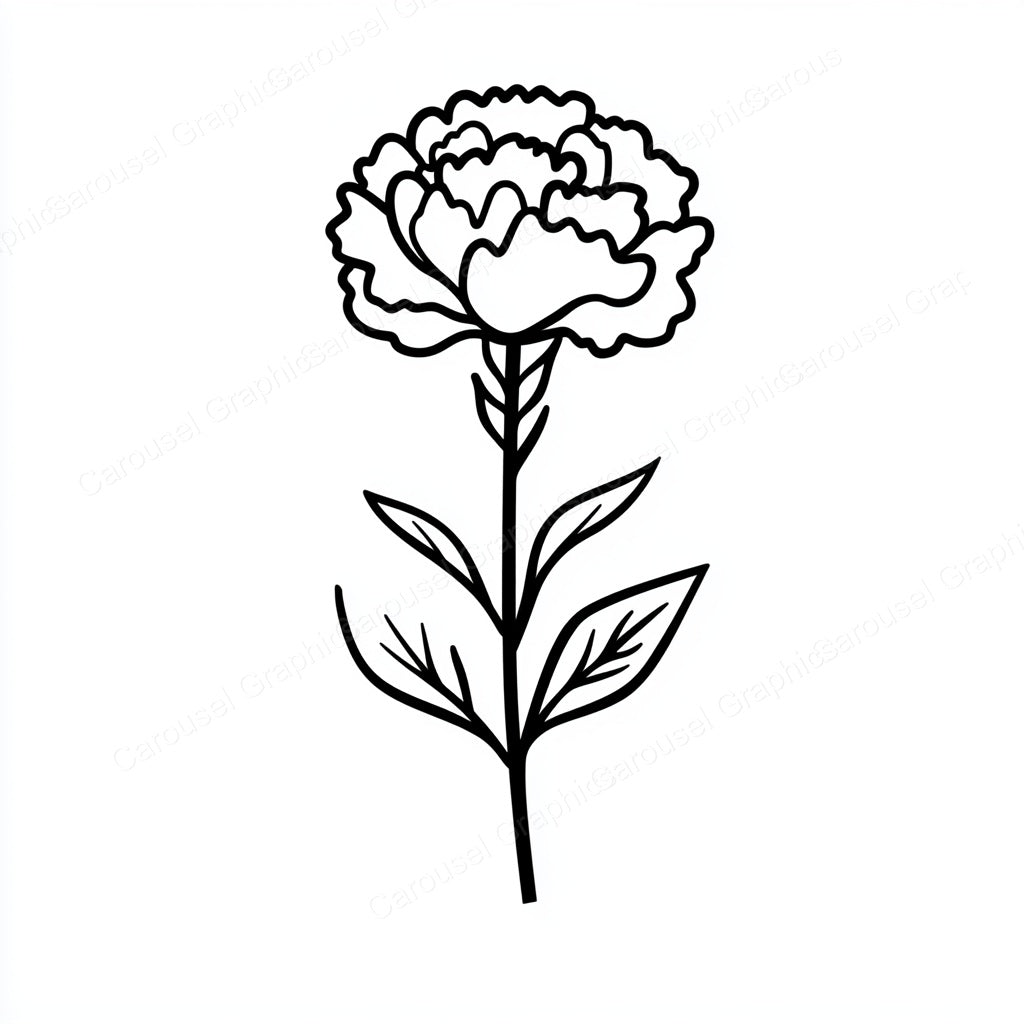 Carnation Vector Graphic preview