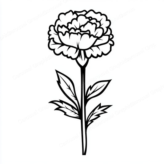 Carnation Vector Graphic preview