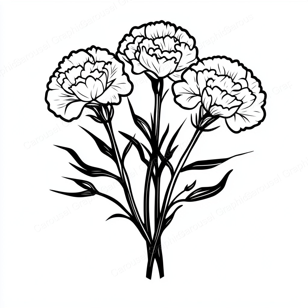 Carnation Vector Graphic preview