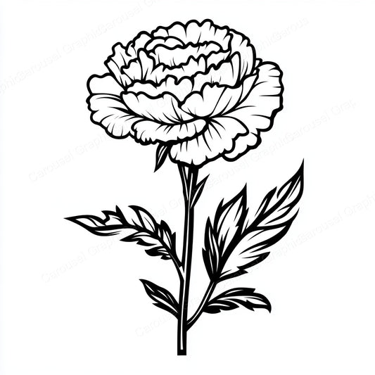Carnation Vector Graphic preview