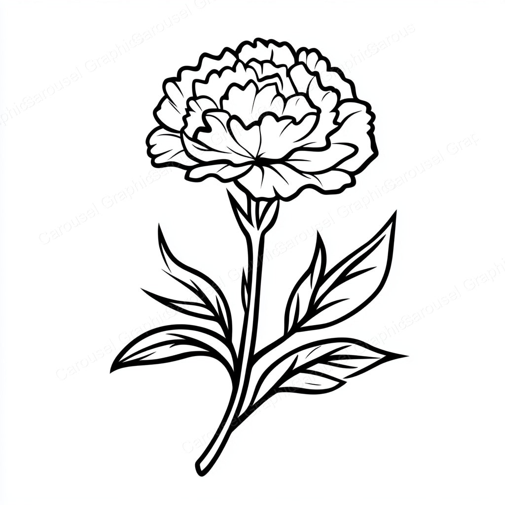 Carnation Vector Graphic preview
