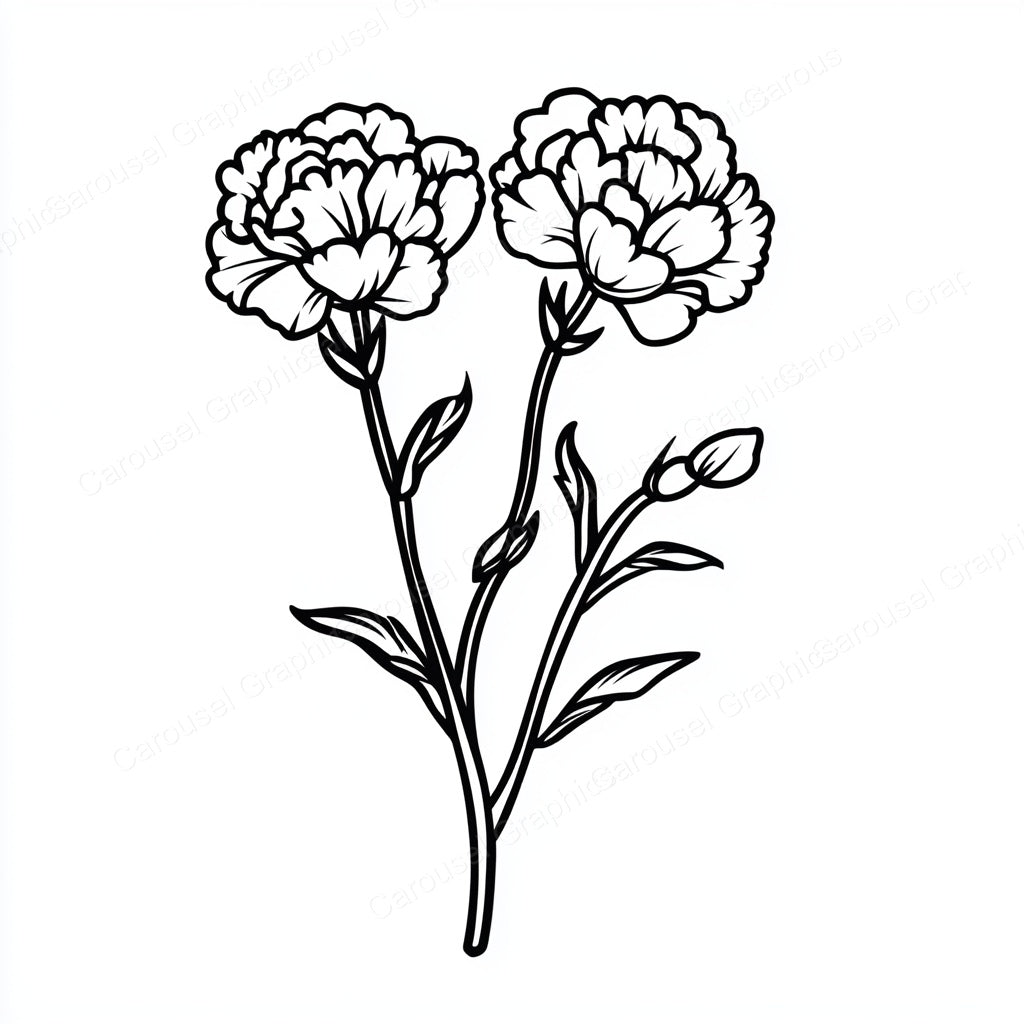 Carnation Vector Graphic preview