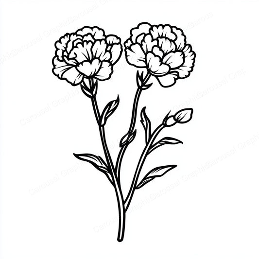 Carnation Vector Graphic preview