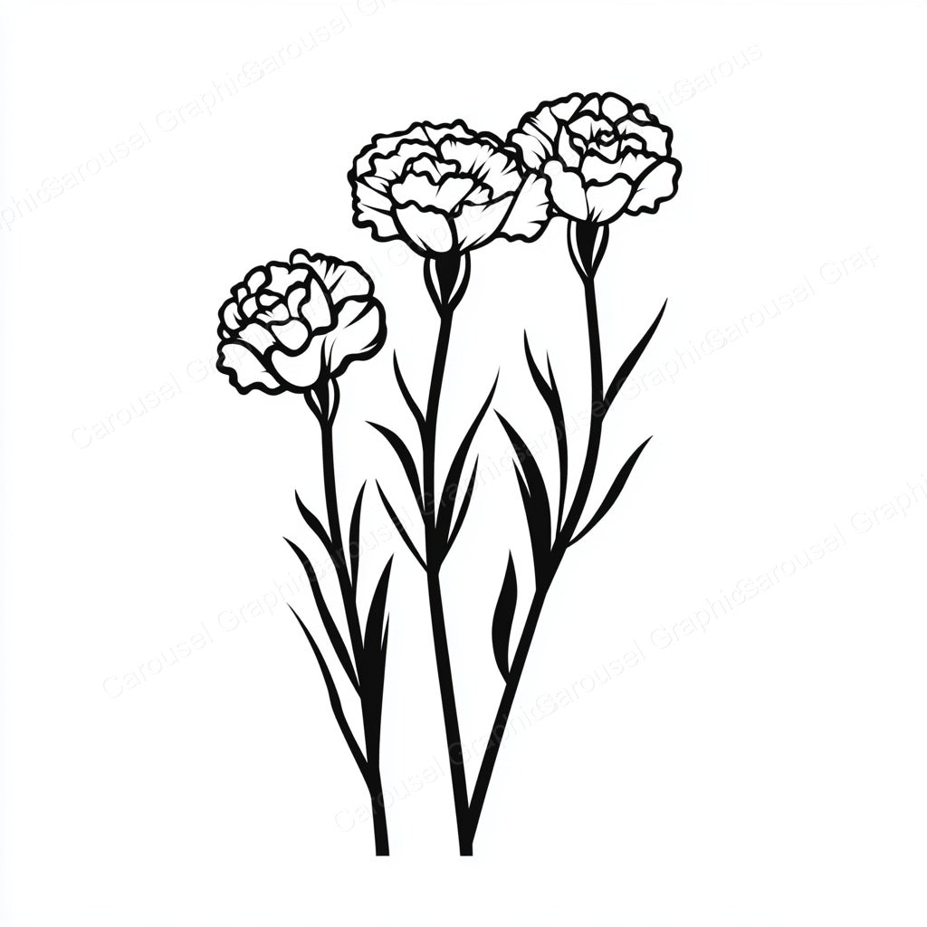 Carnation Vector Graphic preview