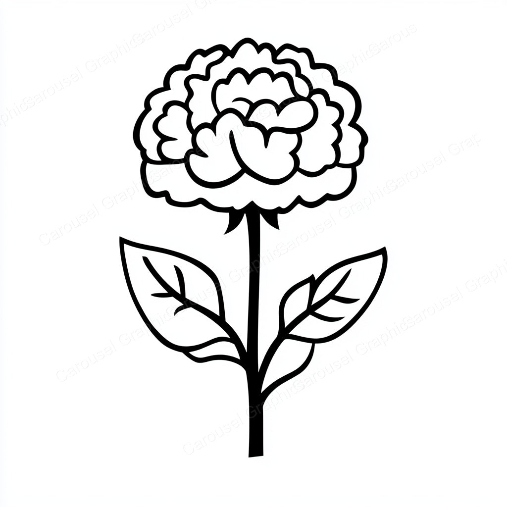 Carnation Vector Graphic preview