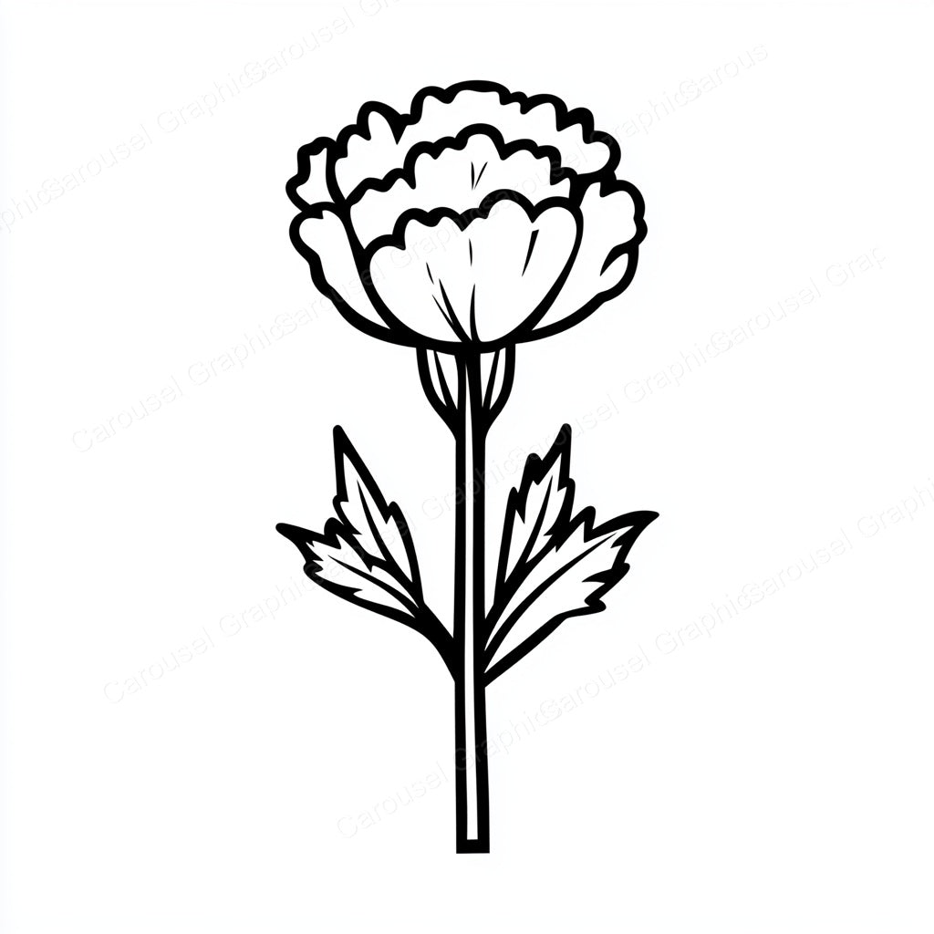 Carnation Vector Graphic preview