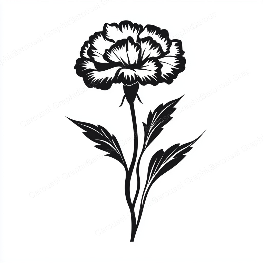 Carnation Vector Graphic preview